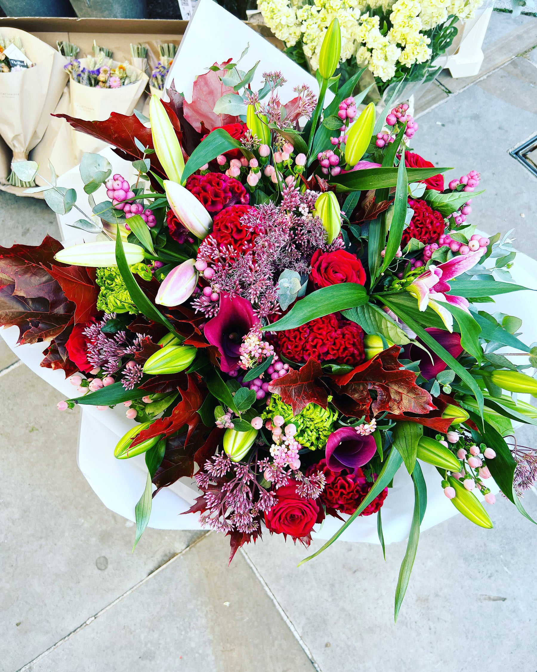 Stunning Reds