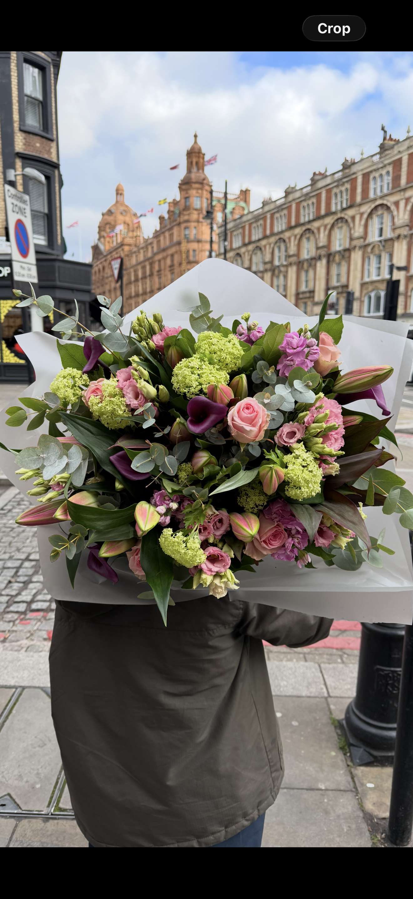Winter Flowers