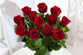 Luxury 12-24-36-50 Red Roses Long Stem